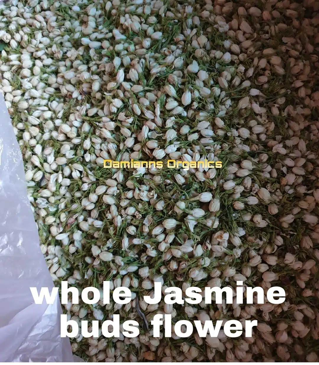 Jasmine buds