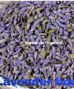 Dried Lavender Flower Buds