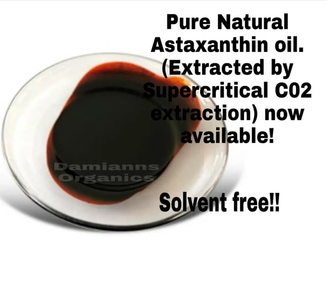 ASTAXANTHIN OIL 10%. - Image 1