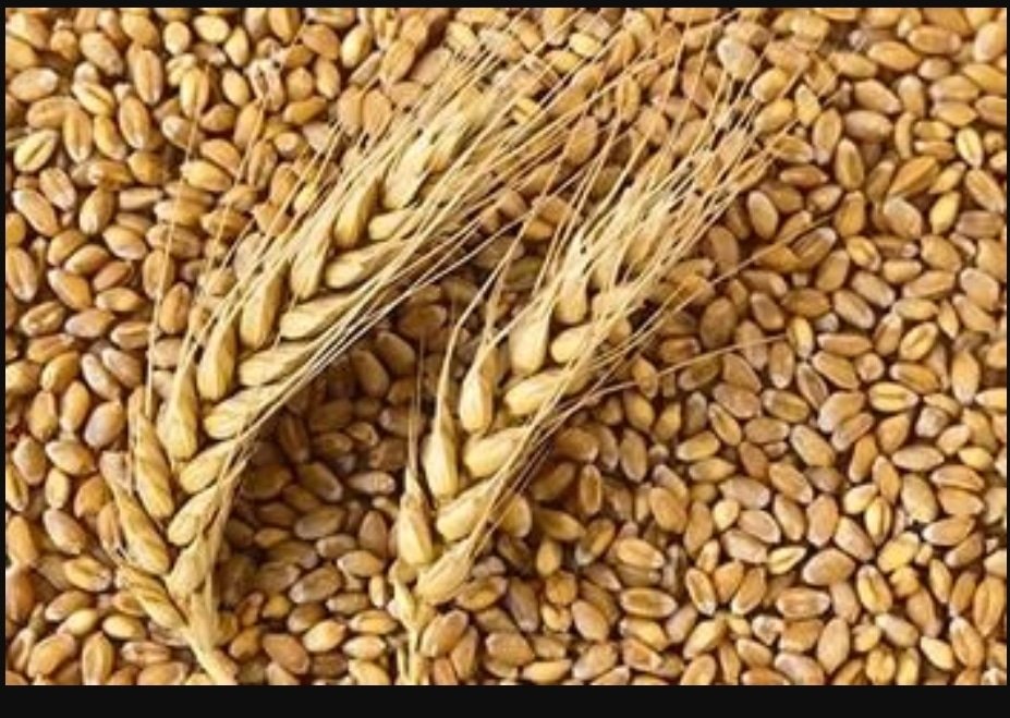 Hydrolysed wheat protein liquid