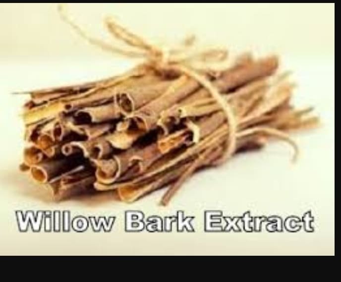 White willow bark extract liquid 20%