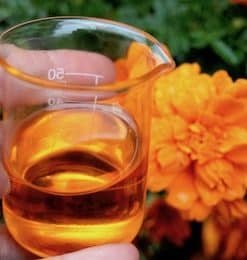 UNREFINED GOLDEN JOJOBA OIL(COLD PRESSED).