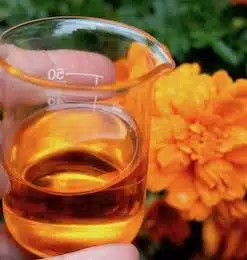 UNREFINED GOLDEN JOJOBA OIL(COLD PRESSED).