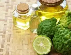 BERGAMOT ESSENTIAL OIL.