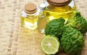 BERGAMOT ESSENTIAL OIL. - Image 1