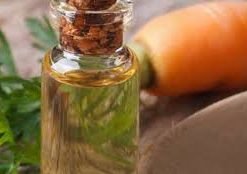 CARROT SEEDS ESSENTIAL OIL.