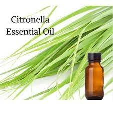 CITRONELLA ESSENTIAL OIL