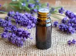 LAVENDER ESSENTIAL OIL.