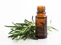 ROSEMARY ESSENTIAL OIL