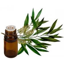 AUSTRALIAN TEATREE ESSENTIAL OIL