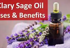 CLARY SAGE ESSENTIAL OIL.