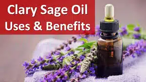clary sage
