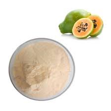 PAPAYA FRUIT EXTRACT POWDER