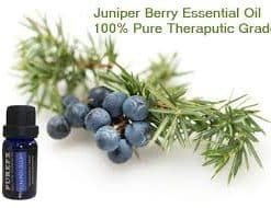 JUNIPER BERRY ESSENTIAL OIL.
