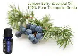 Juniper Berry