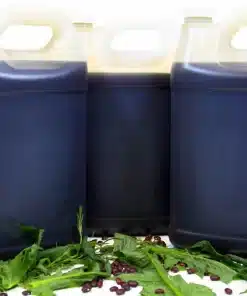 UNREFINED AFRICAN BLACK CASTOR OIL