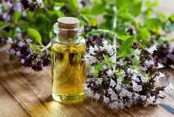 OREGANO ESSENTIAL OIL