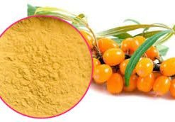 SEA BUCKTHORN BERRIES POWDER