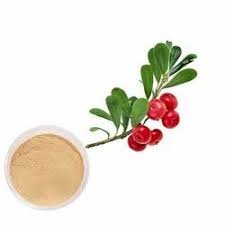 BEARBERRY LEAF EXTRACT POWDER.
